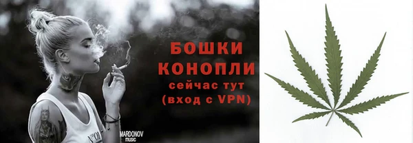 PSILOCYBIN Алексеевка