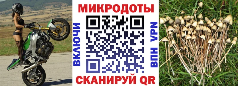 цены наркотик  MEGA онион  это Telegram  Заводоуковск  Псилоцибиновые грибы GOLDEN TEACHER 